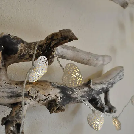 Apartment Casa Nide *